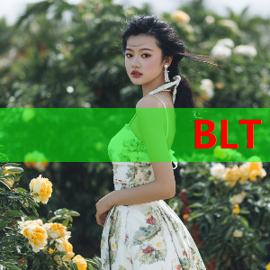 糖心vlog在线观看